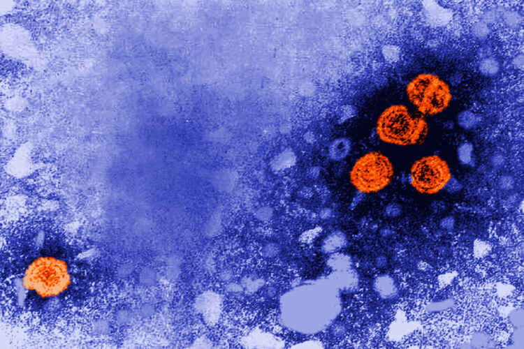 Experimental drug could  help some with hepatitis B